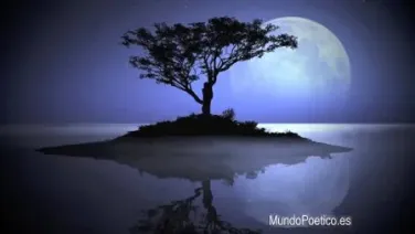 La Noche En La Isla