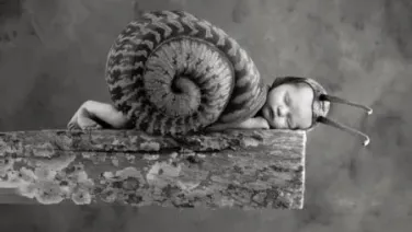 Los Encuentros De Un Caracol Aventurero