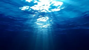 Agua