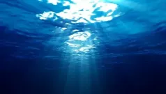 Agua