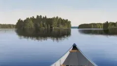 Agua