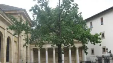Al Arbol De Guernica