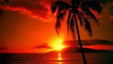 Al atardecer refresca el día...