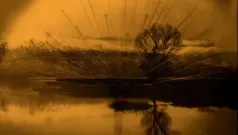Alba de mi silencio