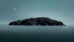 Alta mar y gaviota