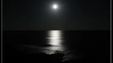 Alta Noche