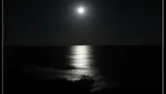 Alta Noche