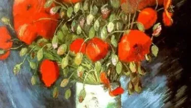 Amapolas De Julio