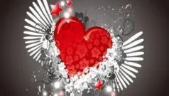 Amo amor