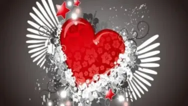 Amo amor