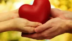 Amor