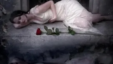 Amor Callado
