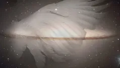 Criaturas de la luz
