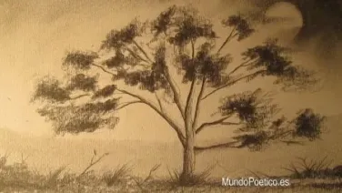 De árbol a árbol