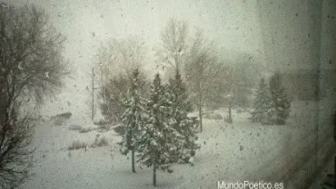 De invierno