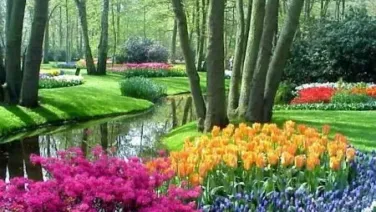 De La Primavera