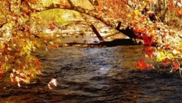 De otoño