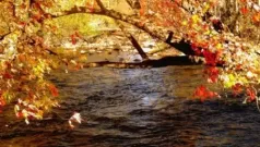 De otoño