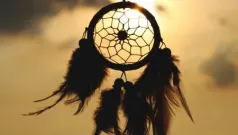 Dream Catcher