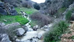 El arroyo
