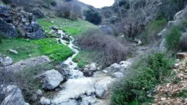 El arroyo