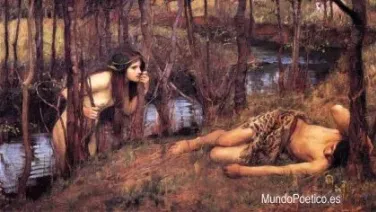El bosque amigo