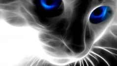 El Gato (Alborera mi compañera)