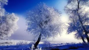 El invierno
