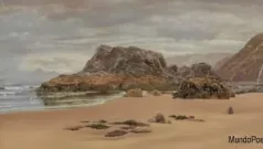 El Navegar Oculto De La Especie