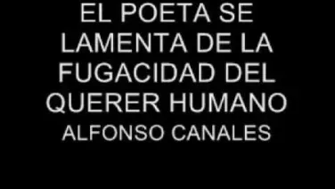 El poeta se lamenta de la fugacidad del querer humano