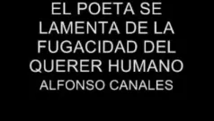 El poeta se lamenta de la fugacidad del querer humano