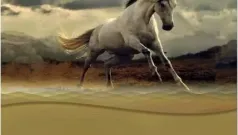 El potro desbocado