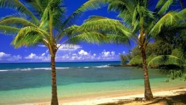 El Verano / Der Sommer