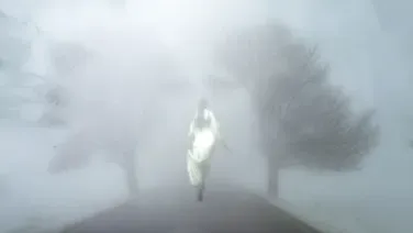 En La Niebla