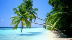 En una playa amena