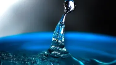 Es La Sombra Del Agua