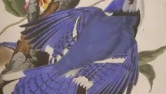 Eso Sería Todo