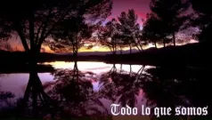 Has triunfado