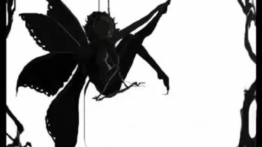 Historia de una mariposa y una araña