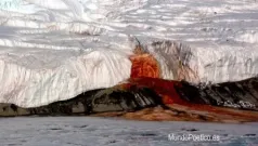 Islas Solo De Sangre