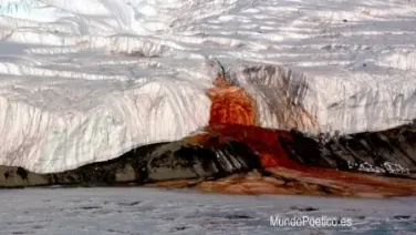 Islas Solo De Sangre