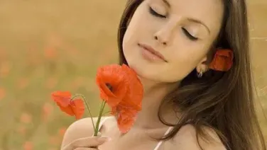 La belleza del amor
