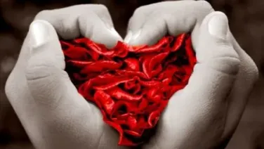 La Burla Del Amor