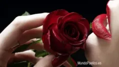 La Dulce Boca