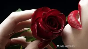 La Dulce Boca