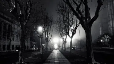 La noche
