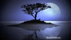 La Noche En La Isla