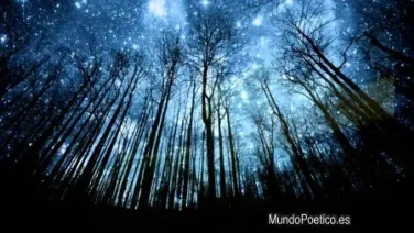 Las estrellas