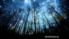 Las estrellas