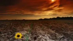 Letanias De La Tierra Muerta